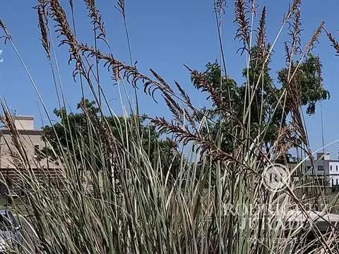 Terreno en Venta de 546,0 m2