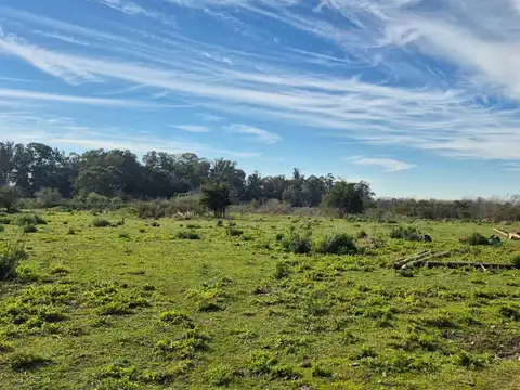 CAMPO EN VENTA LA PLATA
