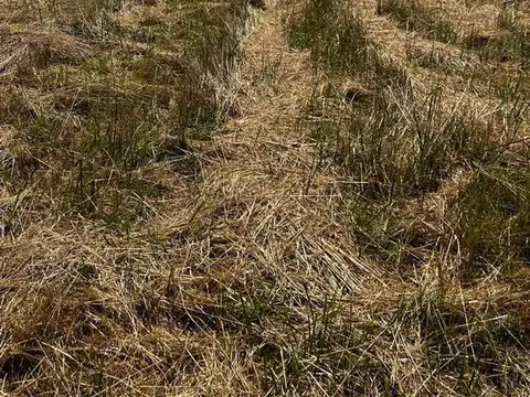 Terreno en Venta 40  mts Fondo