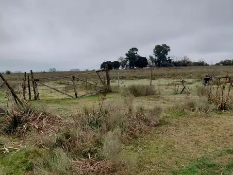 Terreno en Venta de 55900,0 m2