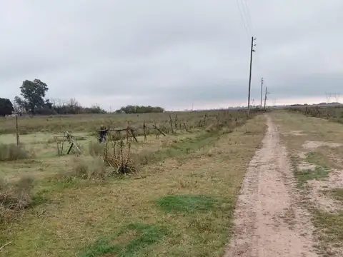 Terreno en Venta de 55900,0 m2