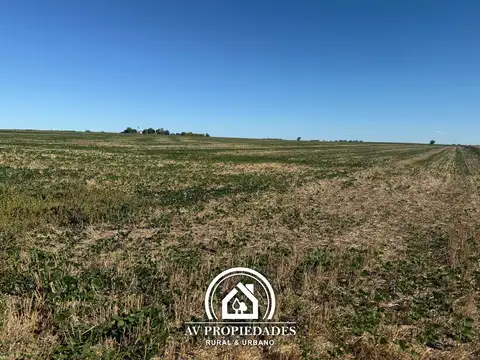 Campo en Colonia El Potrero