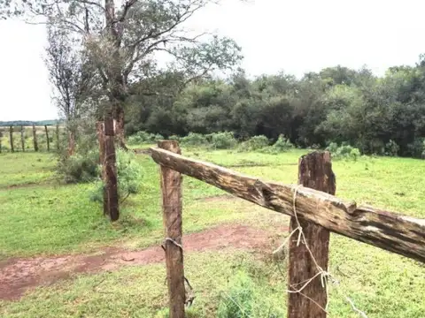 Venta, Campo, 72 hectáreas, Corral, Arroyo, Garruchos, Corrientes
