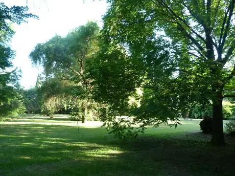 ALQ.TEMPOR-VARIED.DDE U$S 800