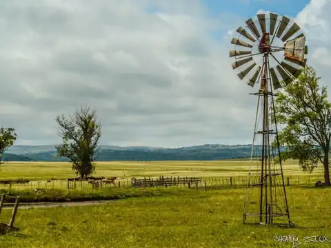 Campo minutos de Aigua