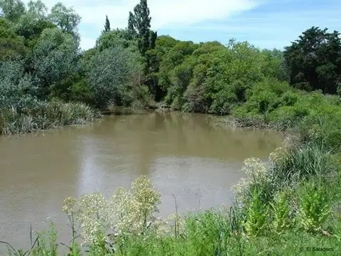 CAMPO EN VENTA ATALAYA