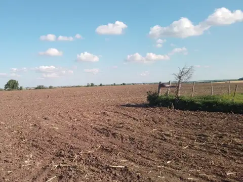 Campo en Venta Agrícola