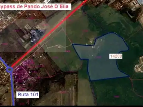 Ruta 101