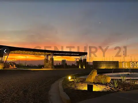 Lote Central Barrio El Bosque Etapa I