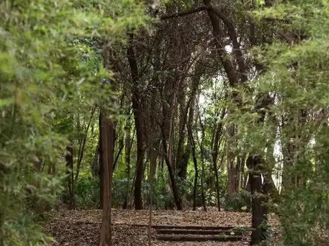 Terreno en Venta en Rodeo de la Cruz, USD 19.000