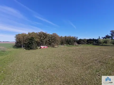 Campo en venta de 5ha ubicado en La Luisa