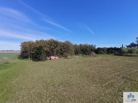 Campo en venta de 5ha ubicado en La Luisa