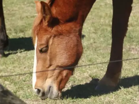 Terreno en Venta en Kilometro 44, USD 39.000