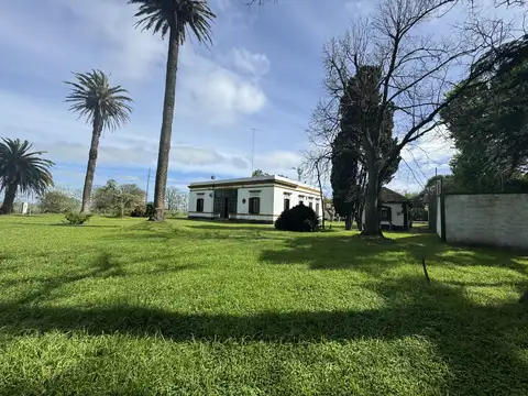 Venta campo 160ha Chascomus