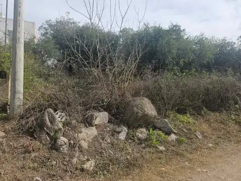 Marcelo T. de Alvear 100