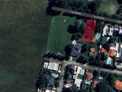 Colectora Countrys 1900