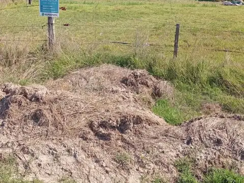 Terreno - Venta - Argentina, DOMSELAAR - MISTRAL 550