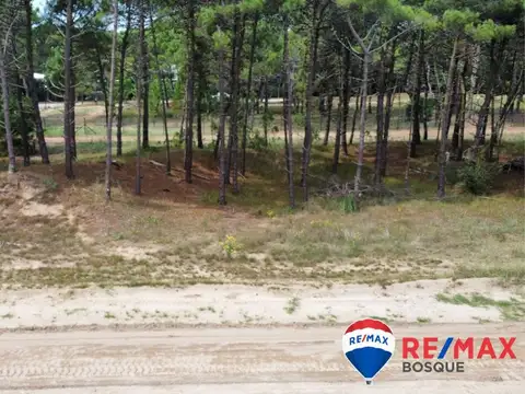 Venta Lote Pinamar Bosques