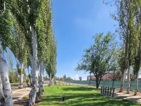 9 de julio