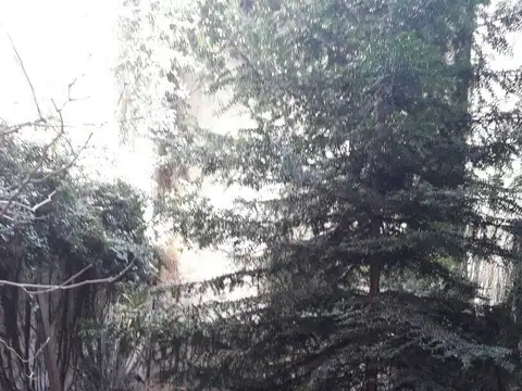 Bauness 2500, Piso PB