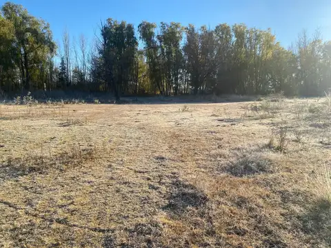Terreno en  Colonia Las Rosas - Tunuyán