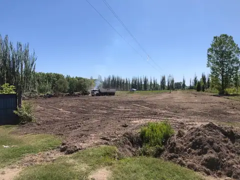 Terreno en Venta en Colonia Las Rosas, USD 42.000