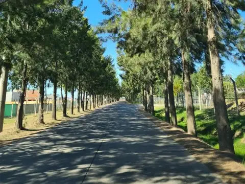 Terreno en Venta 30  mts Fondo