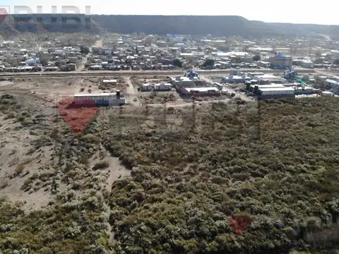 Venta-Hectareas Aptas Desarrollo Urbanistico-Añelo