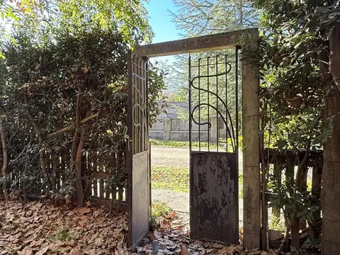 Calle 31 casi Costanera, Laguna de Lobos