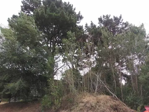 Calle 32 e/ Copacabana y Viña del Mar