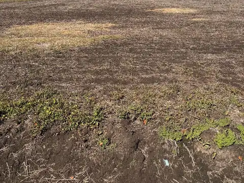 CAMPO EN VENTA URANGA