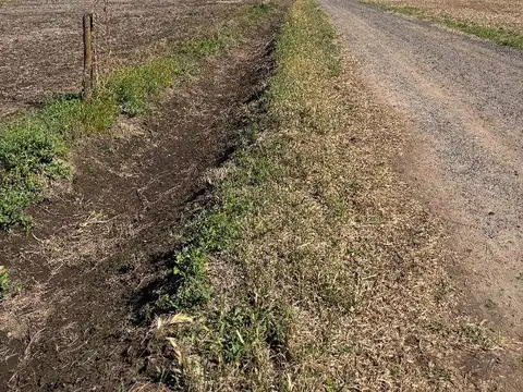 CAMPO EN VENTA URANGA