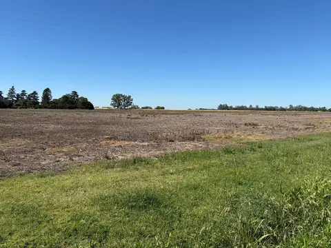 CAMPO EN VENTA URANGA