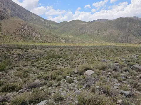 Terreno en Venta de 6000,0 m2