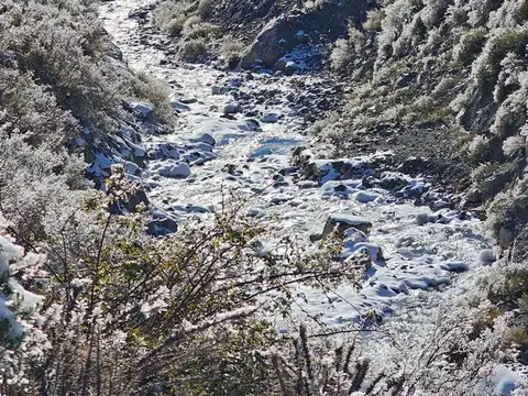 Terreno en Venta de 6000,0 m2