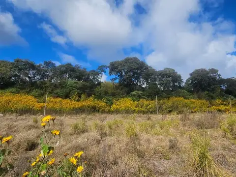 Terreno en Los Alisos - Loteo El Nogal