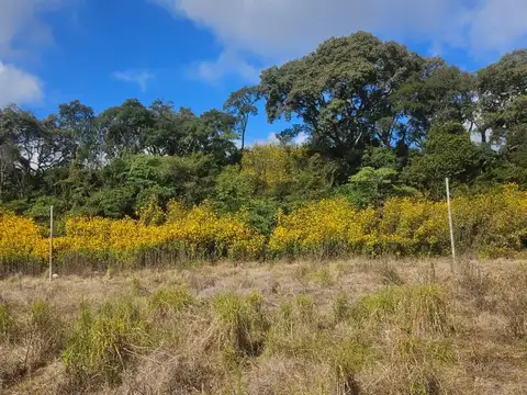 Terreno en Venta de 257,0 m2