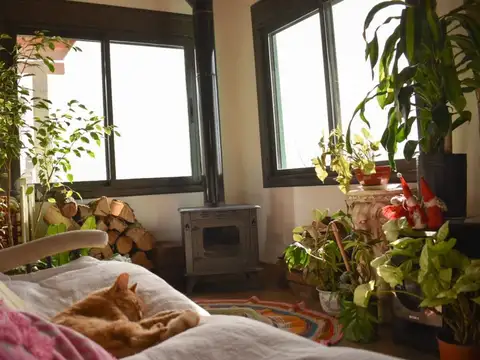 Casa 3 ambientes con 1 baño