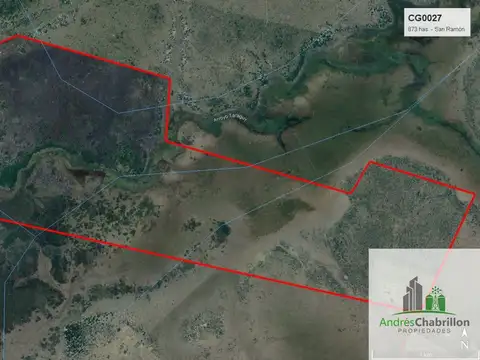 Campo en venta de 873has ubicado en Federación