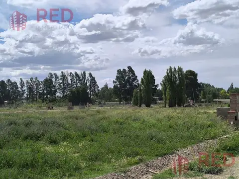 Terreno en Venta 25  mts Fondo