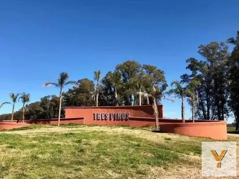 Los Tres Pinos