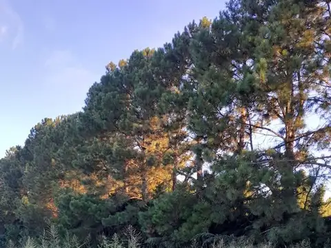 Terreno en Venta en Rincón Norte, USD 20.000