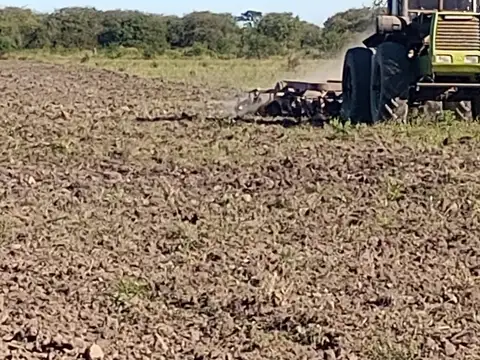 Campo ganadero en producciòn
