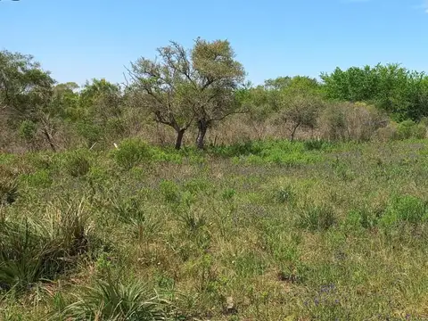 LOTES EN VENTA! DE 720 mts2!