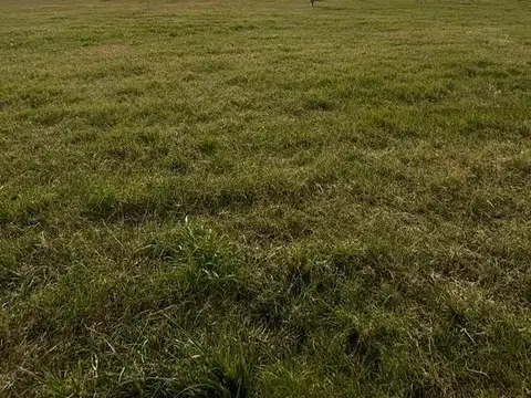 Terreno en Venta de 680,0 m2