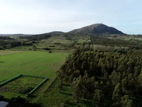 VECINAL A LA BODEGA 100