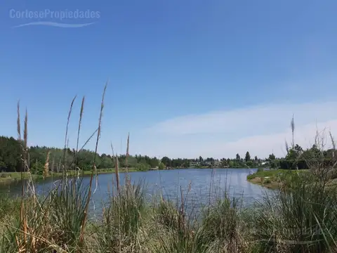 Casa en alquiler temporal-Barrio Santa Catalina