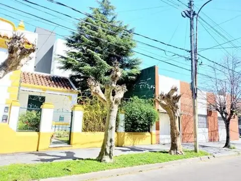 Fyd, Garavano 182