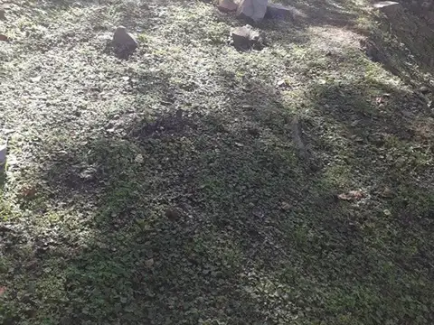 Casa en Venta en Villa los Aromos, USD 100.000