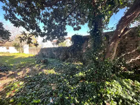 Terreno en Venta de 320,0 m2